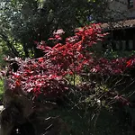 فندق Molino De