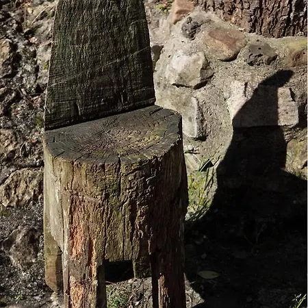Molino De