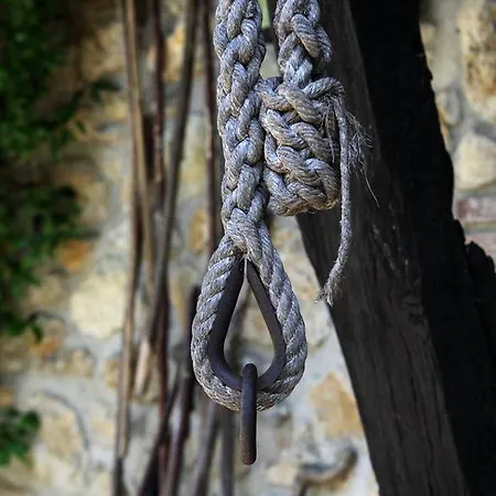 Molino De