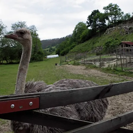 Otel Molino De Tresgrandas