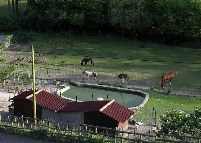 Molino De Hotel Tresgrandas
