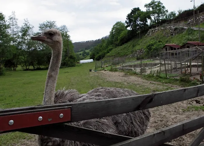 Hotel Molino De Tresgrandas