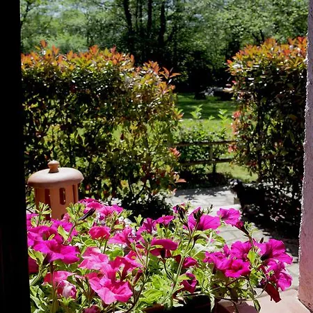 Hotel Molino De 3*