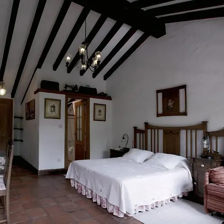 Hotel Molino De